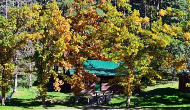 A 2 bedroom, 2 bath cabin full of beauty and custom-built character