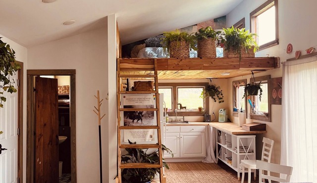A Cottage Minutes From Mad River Glen and Sugarbush