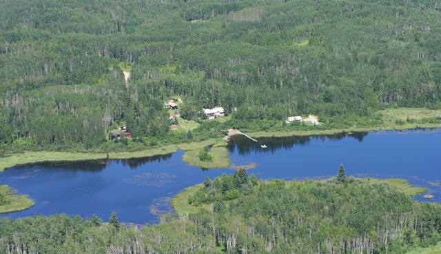 A fabulous place to unwind. Sit listen & watch Mother Nature. Pure Bliss!