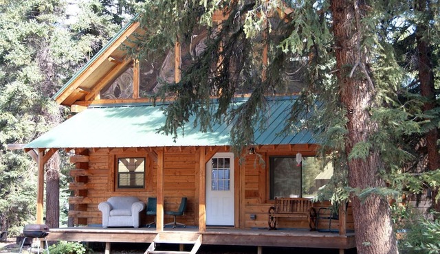 Authentic Log Cabin Rental with Wood from the San Juan Forest near Lake City Ski Hill, Colorado