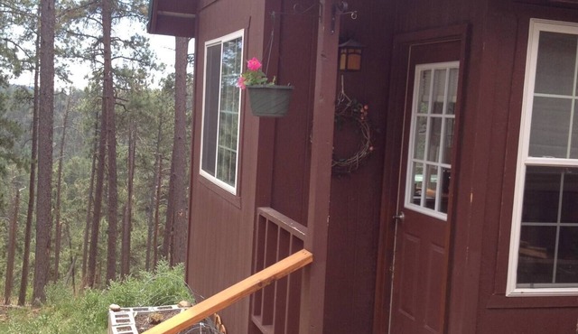Black Hills Mountain Top Cabin with Great Views