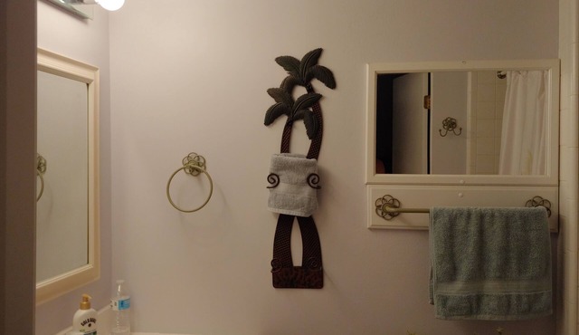 Charming 1-bedroom condo, fully furnished, central AC, large bedroom