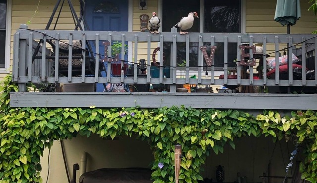 Charming 2-bedroom farmhouse in brilliant Jupiter with AC, WiFi,Hot tub,