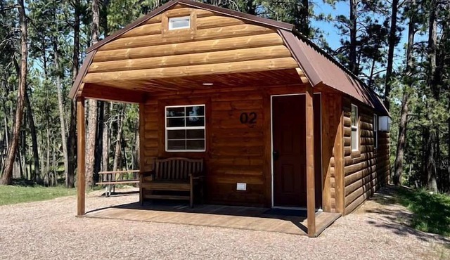 Charming Cabin with Barbecue and Great Sights in Rapid City, South Dakota