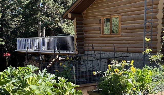 Charming Log Home Nestled in 7 Wooded Acres