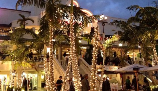 Coconut Grove Green Day’s