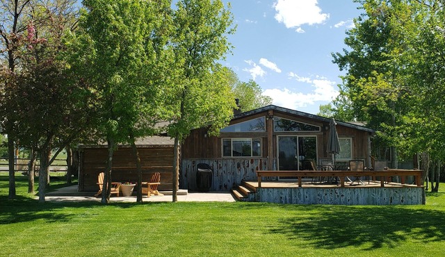 Comfortable Unique Rustic House with all New Amenities and Amazing Fenced Yard.