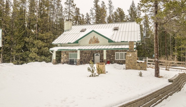 Cottage in the woods
