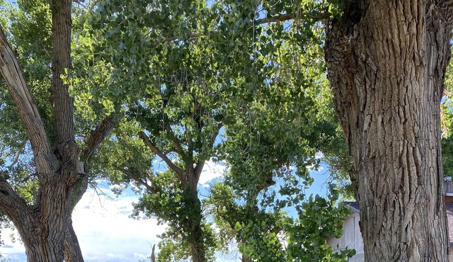 Cowboys Hideout on Historic Santa Fe Trail