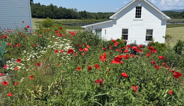 Cozy 1-bedroom cottage on beautiful organic farm in Vermont