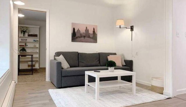 Cozy apartment Downtown FoCo