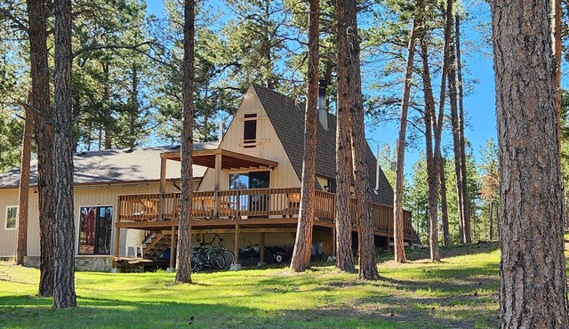 Cozy Cabin in the Hills