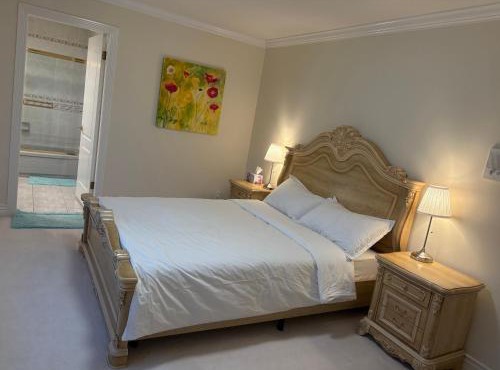 Cozy home near YVR with parking