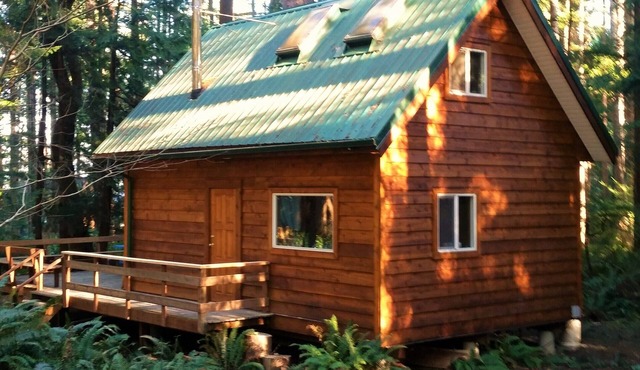 Cute cozy log cabin nestled in private wooded area between 2 sandy beaches