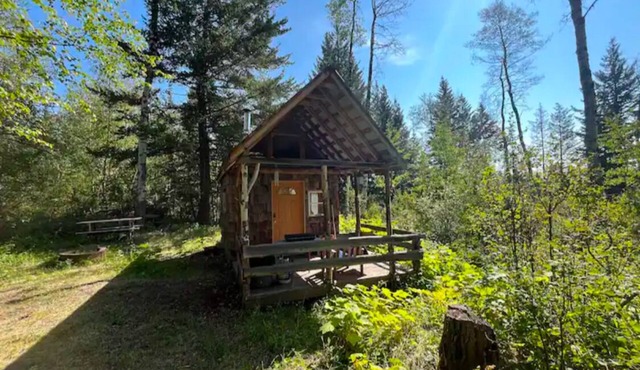 Delightful studio cabin near Pinantan Lake on 80 acres of land.