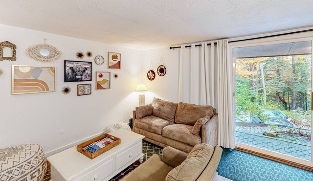 Dog-friendly cozy mountain condo with washer/dryer - minutes from slopes