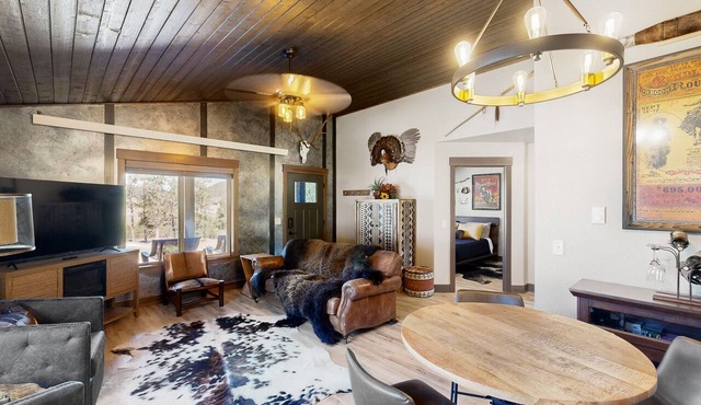 Dog-friendly mountain view cabin with a washer/dryer, BBQ, & full kitchen