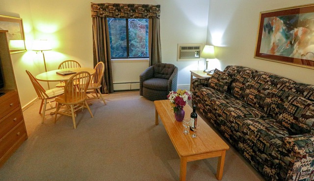 Efficiency with Sleeper Sofa only 214