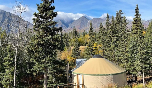 Escape the ordinary with a stay in our charming yurt