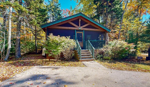 Explore nature cabin with kitchen, fireplace, WiFi, hiking & AC