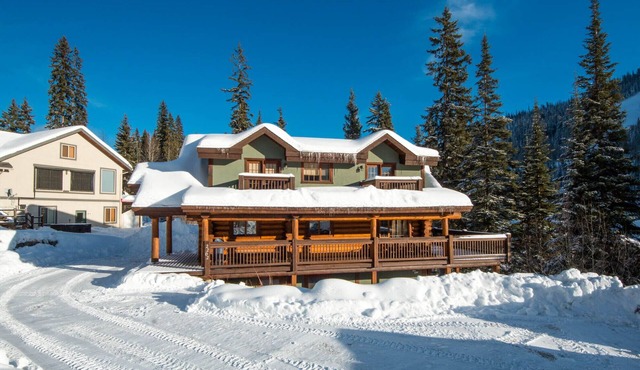 Family Friendly True Log Home experience