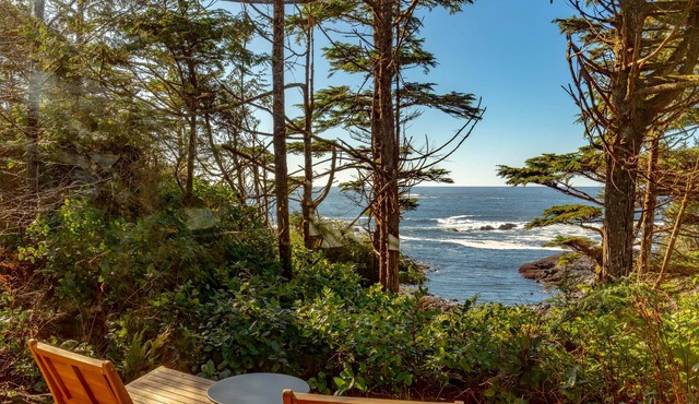 Fogged Inn Cove