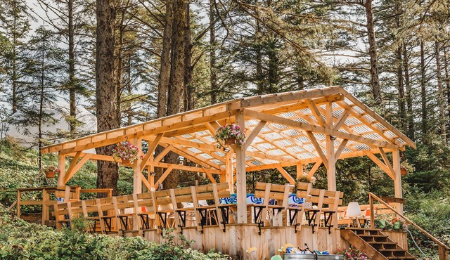 Haida Gwaii Glamping - Rainforest