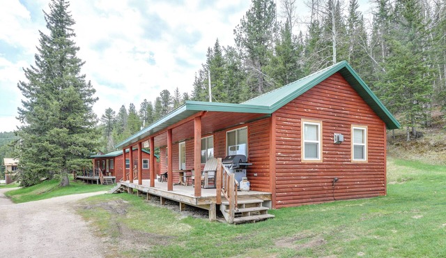 Hike, Ski, ATV! Ride-Ready Deadwood Cabin w/Grill