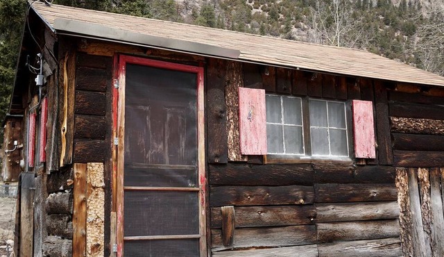 Homey, Pet Friendly Cabin near Lory State Park in Poudre Canyon, Colorado