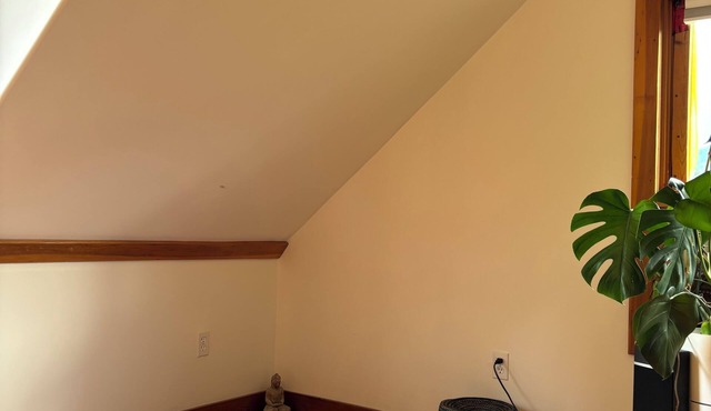 Kaslo Manor Lodge - The Loki Suite