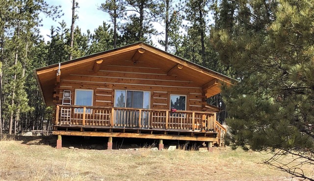 Log cabin with WiFi in quiet community above Custer.