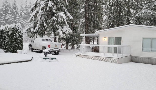 Lone Wolfe Home Away From Home