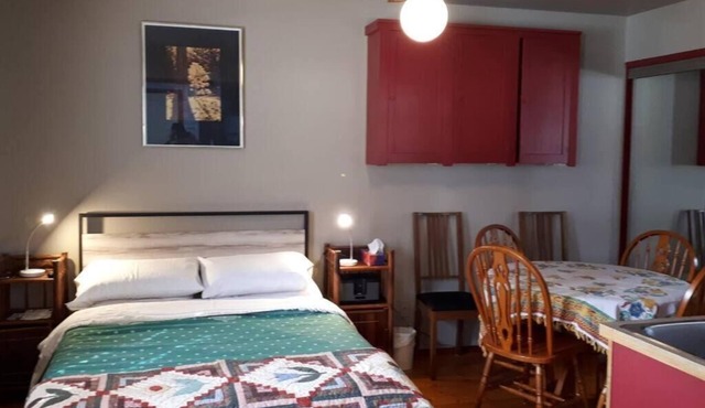 Luisa's Guest Suite, a little penthouse & deck on a 1921 building. Pet friendly.