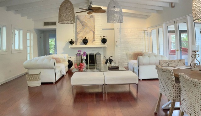 Lush coconut grove oasis
