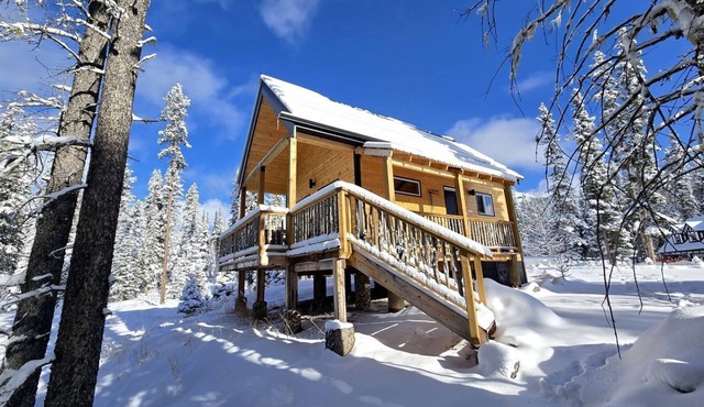 Luxury Cabin Rental for Two with BBQ and Fire Table in Nordegg, Alberta