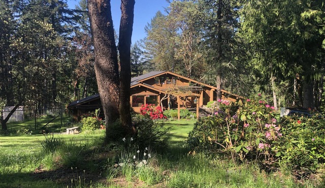 Misty Haven Suite