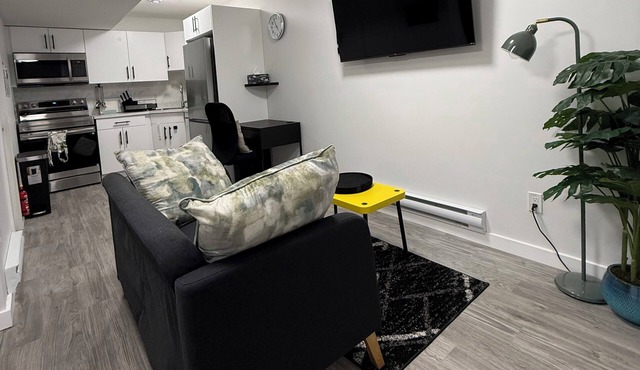 Modern Private Suite in Regina w/Separate Entrance