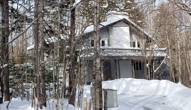 Mount Snow, Hot Tub Room, Sauna, Pool Table, sleeps 12.