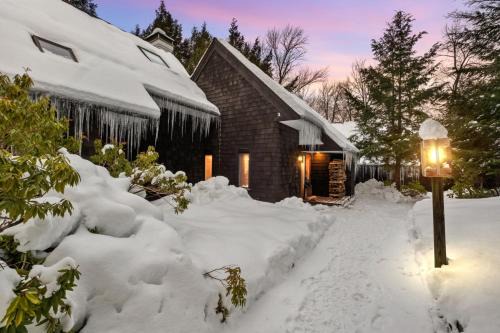Mountain Haven for Families w Deck - Shuttle - Views