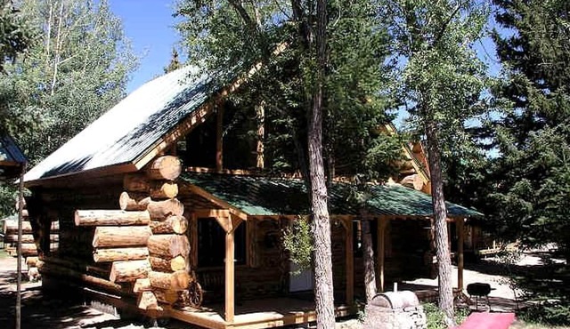 Mountain Log Cabin Rental for a Family Getaway near Powderhorn, Colorado
