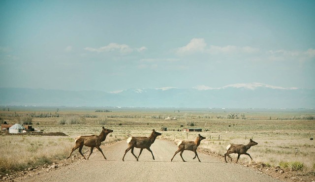 Off Grid at Baca Wildlife Refuge: Star Gazers Paradise