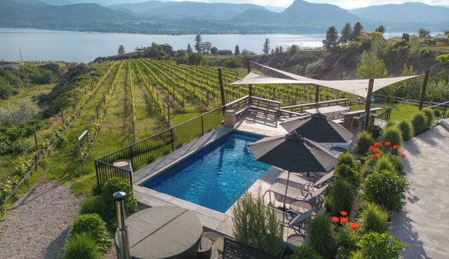 Our Little Wine Farm - a luxurious vineyard estate with pool and lake views.
