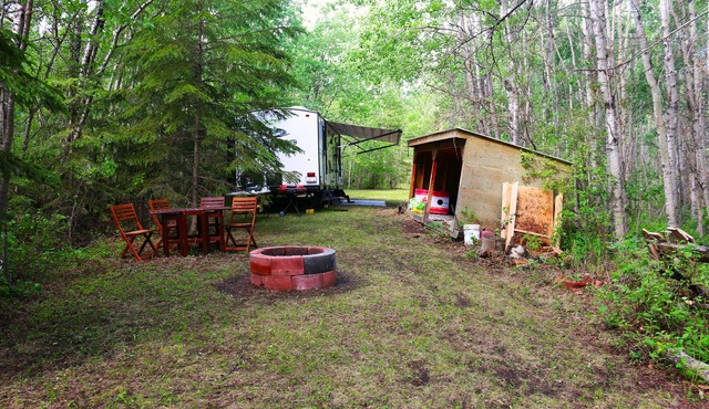 Pet and Cannabis Friendly Holiday Trailer surrounded by 35 acres of forest.