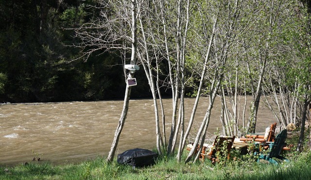 Private Cabin w/River Views & On-Site Wellness