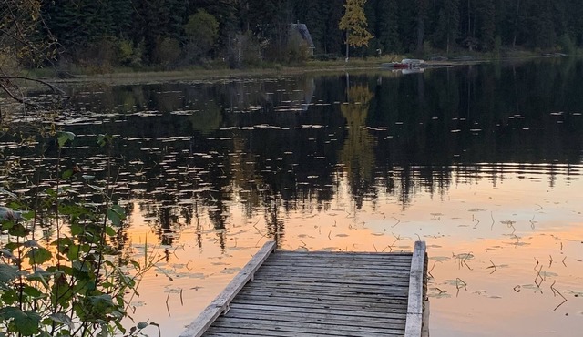Private lake view cabin. Steps away to Higgins Lake