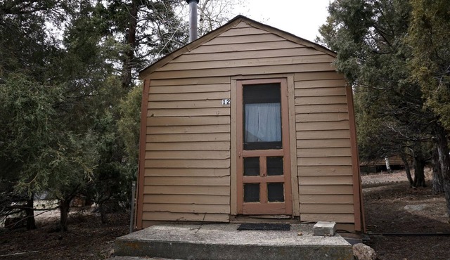 Remote and Cozy Mountain Cabin Nestled in the Poudre Canyon, Perfect for a Pet Friendly Glamping Retreat