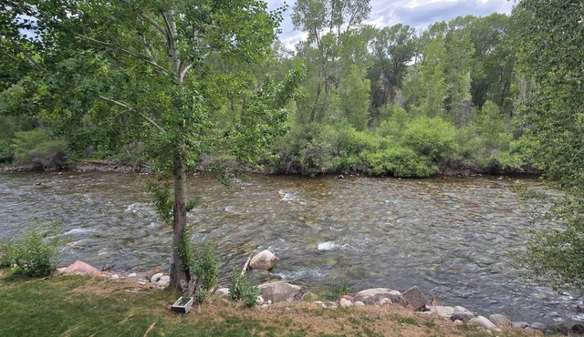 Riverview Retreat: Modern Condo overlooking the Roaring Fork