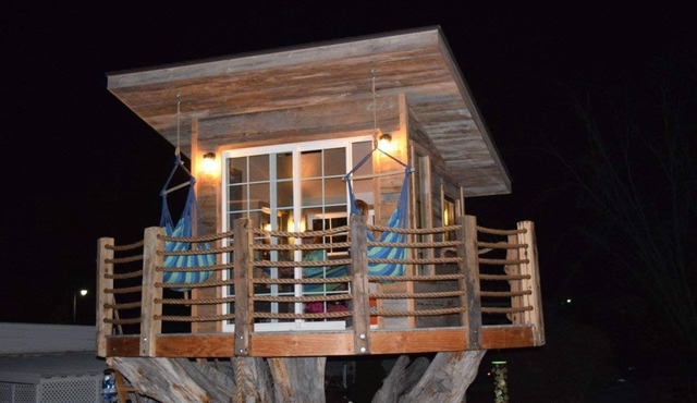 Rustic Tree House in the middle of town