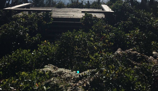 Savary Island waterfront