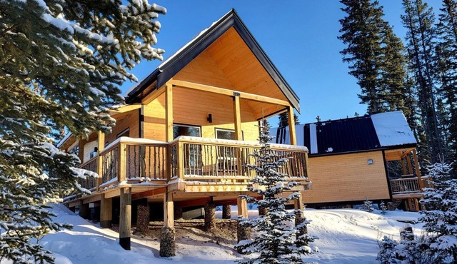 Secluded Cabin Rental for Romantic Weekends Away in Nordegg, Alberta